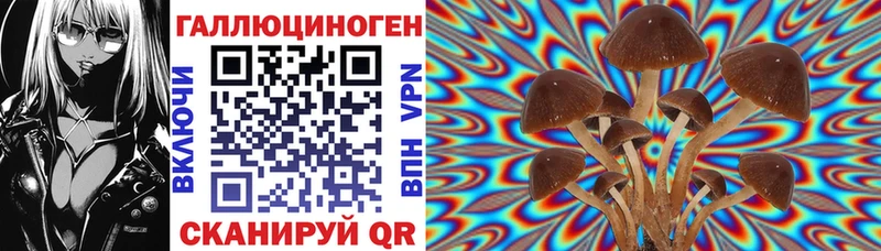 Галлюциногенные грибы MAGIC MUSHROOMS  Купить закладки  Альметьевск 